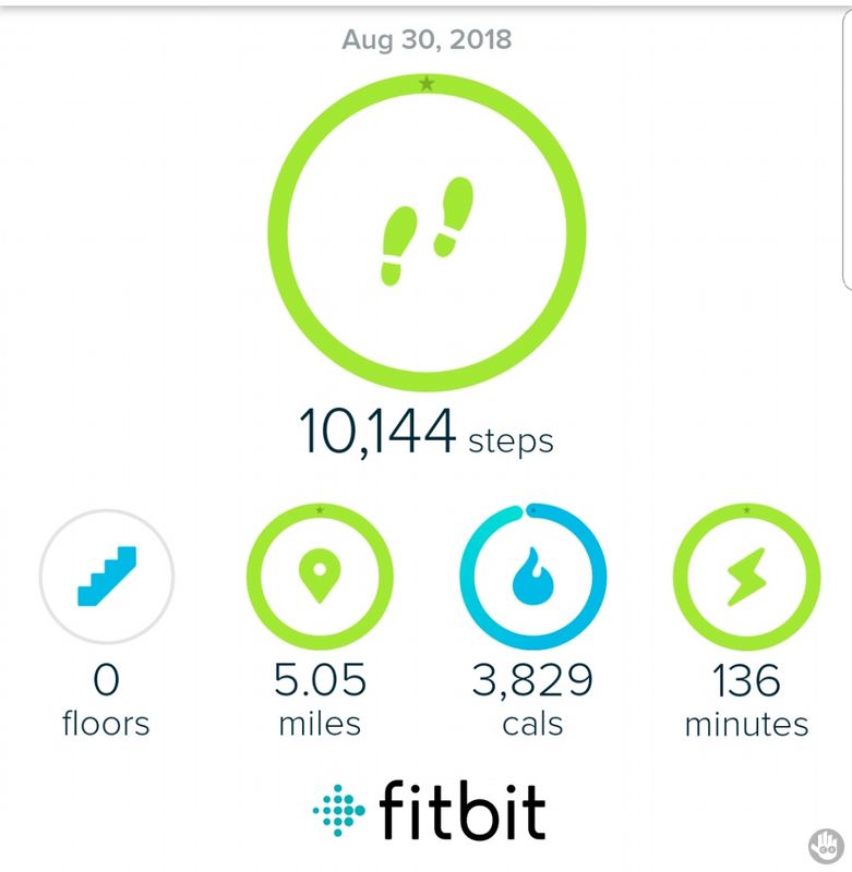 10000 steps fitbit