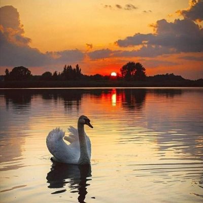 Challenger 151.56 miliion km Picture